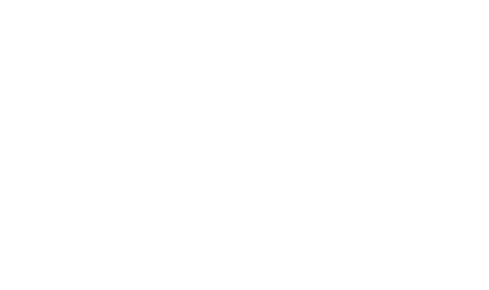 Logo Lladronvlc